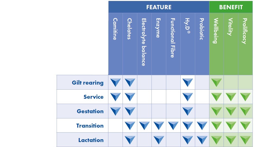 Features Grid